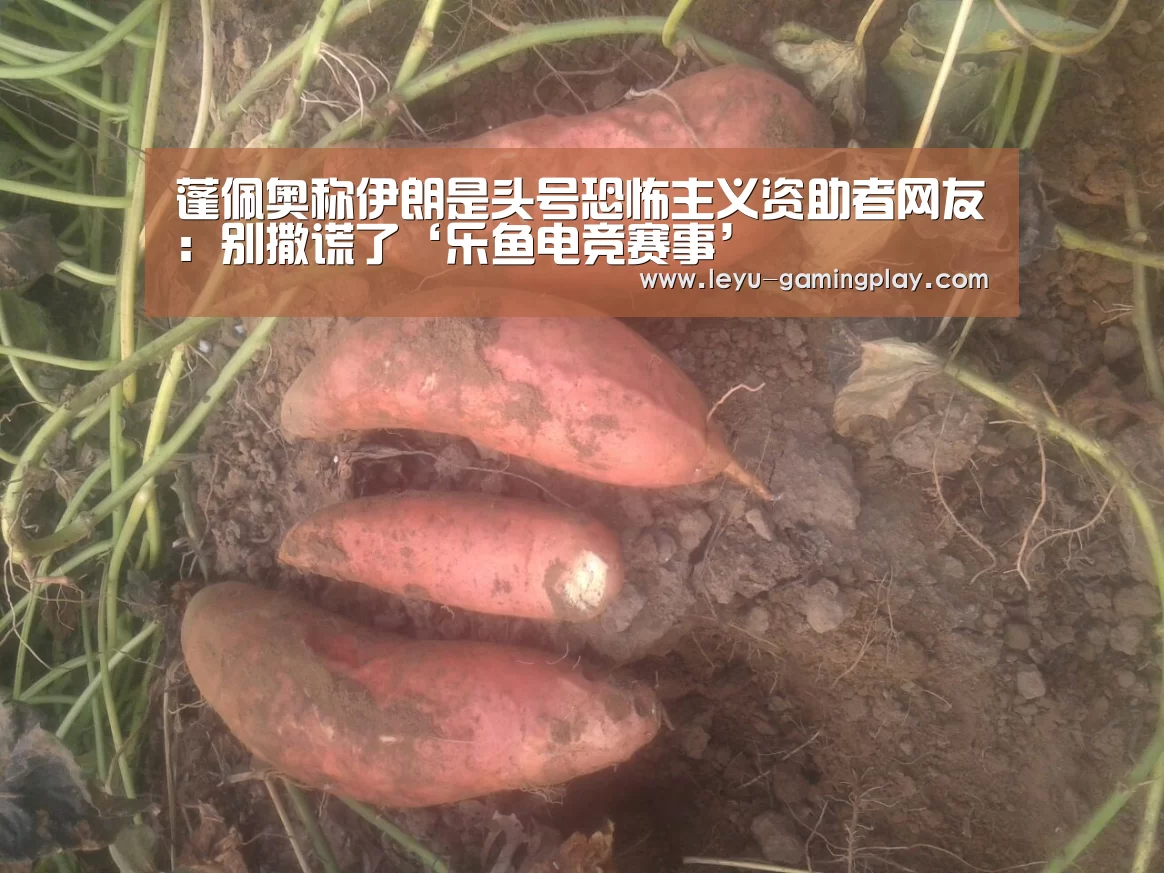 乐鱼电竞平台
