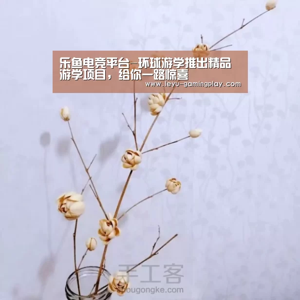 乐鱼足球竞猜