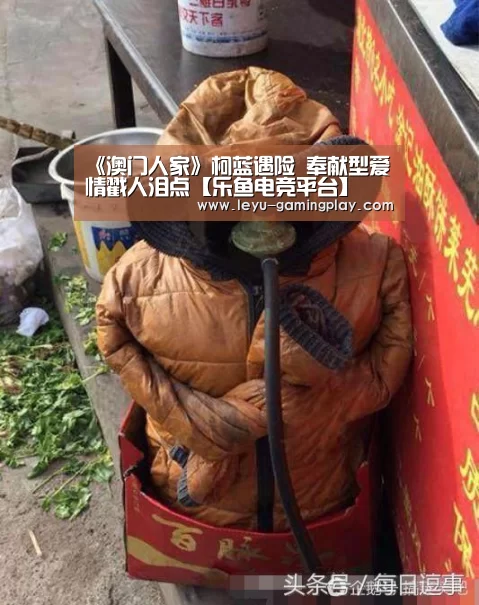 乐鱼电竞赛事