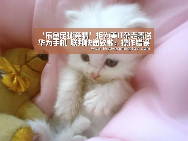 ‘乐鱼足球竞猜’拒为美IT杂志寄送华为手机 联邦快递致歉:操作错误(图1) 乐鱼直播
